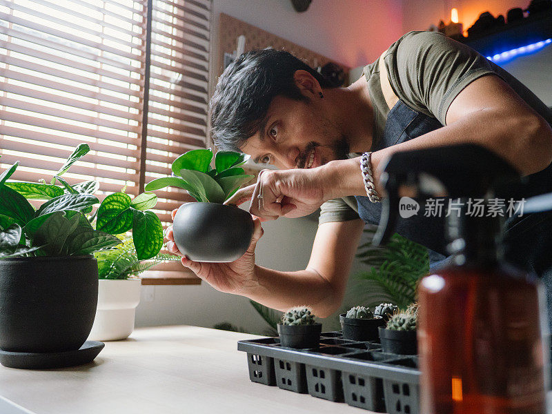 时髦的亚洲男人在家给室内植物浇水