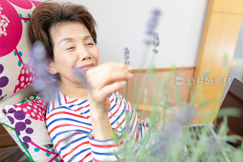 疲惫的老女人在沙发上用笔记本电脑