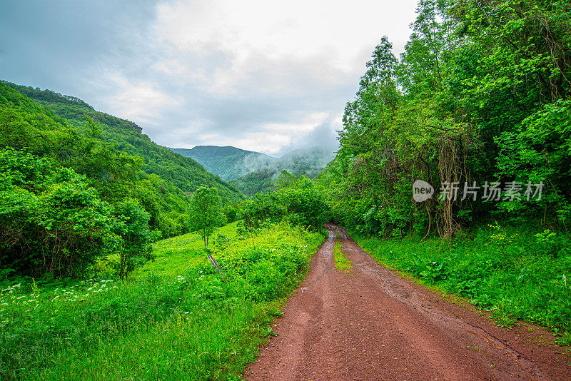 蜿蜒的道路在老山或斯达拉平原的乡间穿行