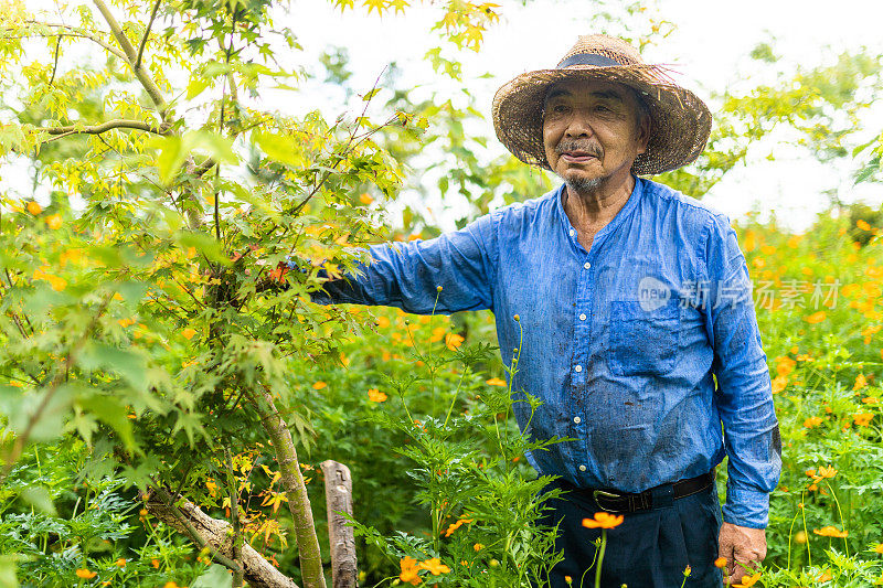 在他的花园里，一位日本老农