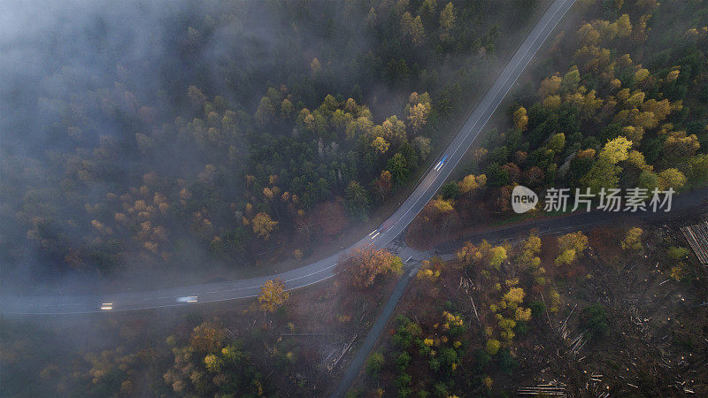 雾在陶努斯山脉，森林砍伐地区和道路的鸟瞰图