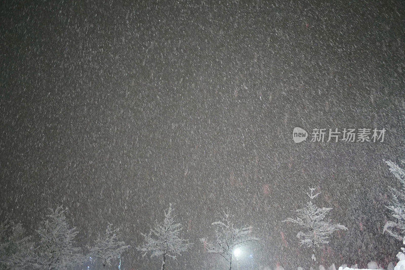 夜晚飘落的雪花