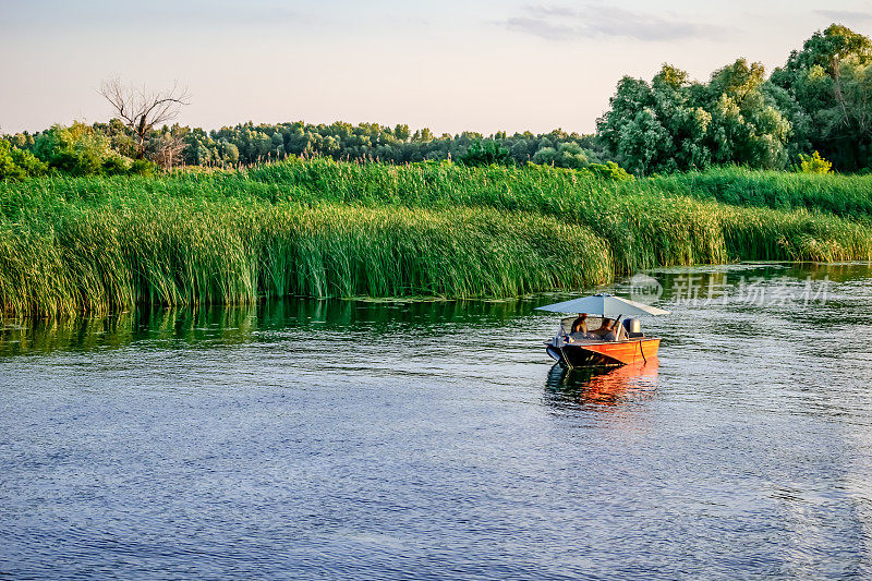 一对夫妇在一艘船上休息，背景是科森(乌克兰)康卡河泛滥平原上的芦苇。