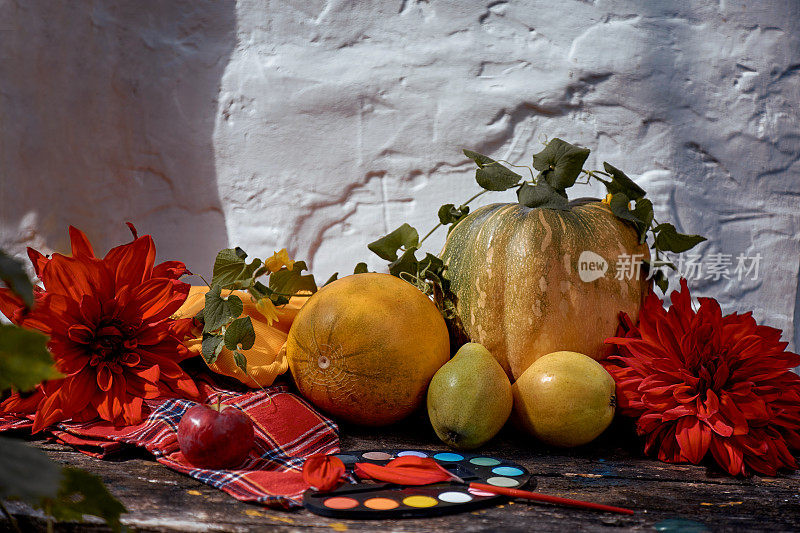 秋天审美静物:黄色的水果，蔬菜和明亮的绘画与画笔，南瓜，梨，苹果和瓜。感恩节的概念。秋天的静物与红色的georgine，现代的影子