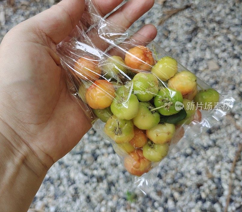 塑料袋中的巴巴多斯樱桃