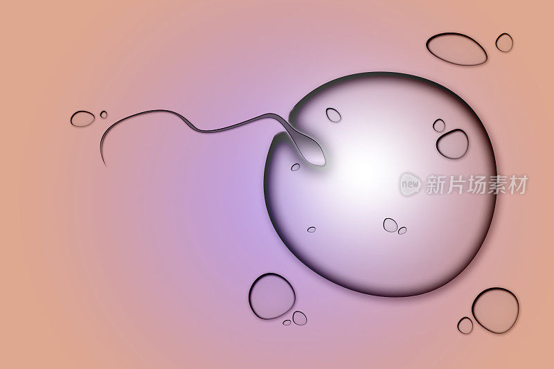 数字生成精子和卵子