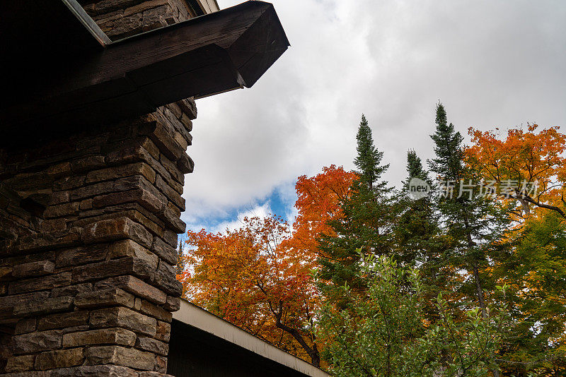 加拿大安大略省阿尔冈昆省公园艺术中心小路上的秋色