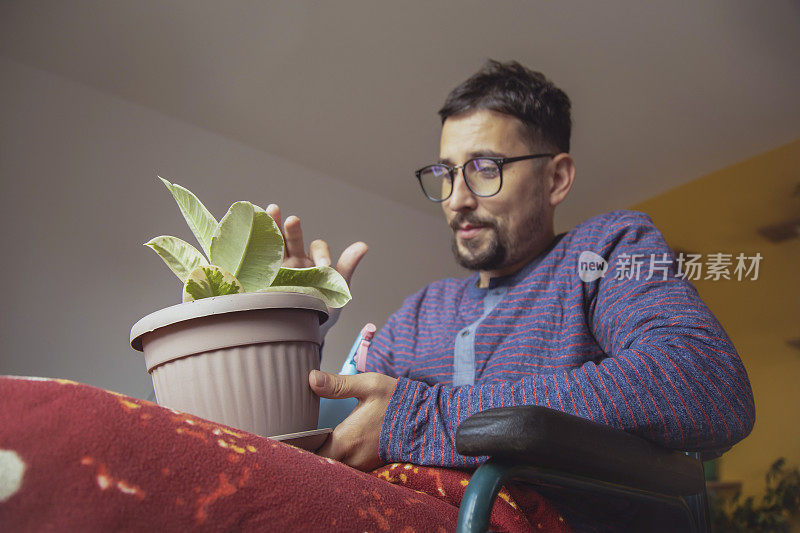 照顾室内植物