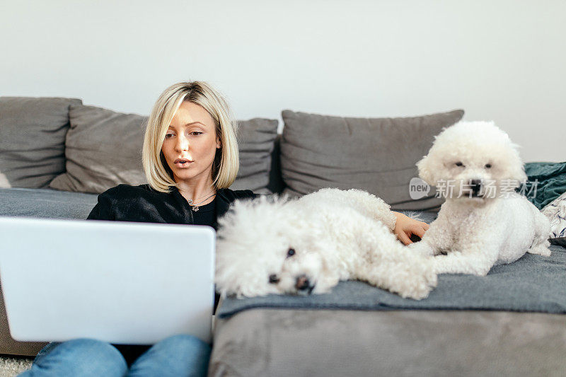 一名年轻女子在家使用笔记本电脑。她的狗陪伴着她