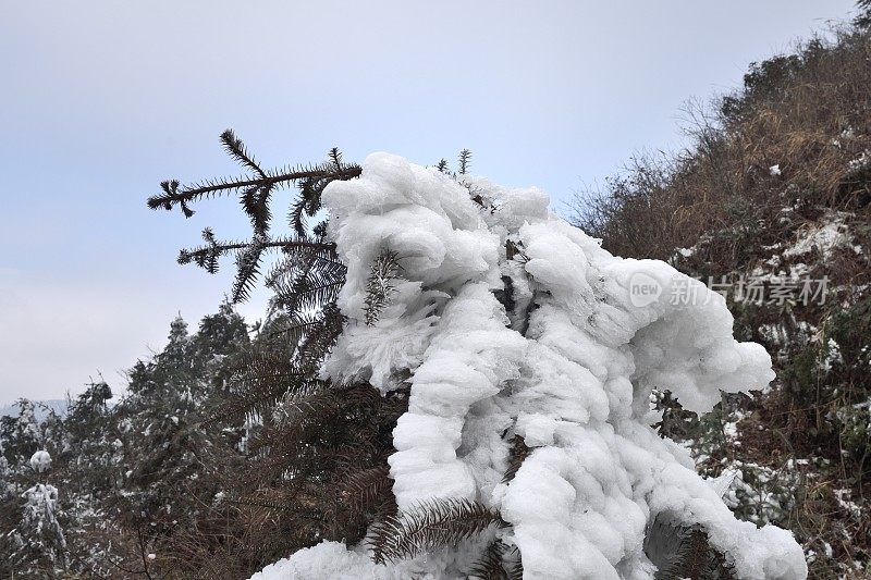 山上和森林里到处都是白霜