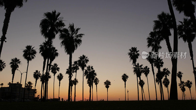 棕榈树的剪影和人们在日落时走在海滩上，加利福尼亚海岸，美国