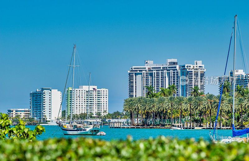 迈阿密海滩的建筑被树木环绕。
