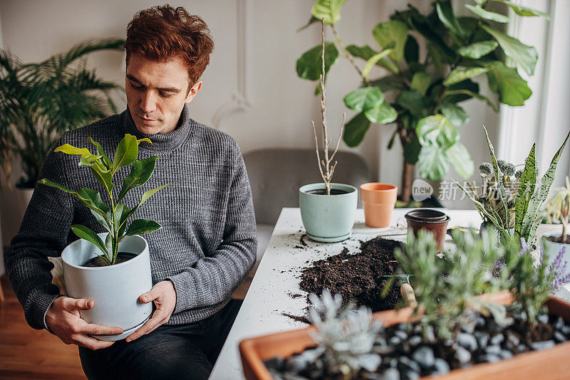 里德海德先生在家里种植室内植物