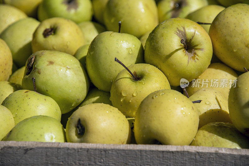 熟青苹果在木箱特写