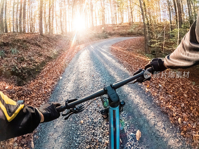 秋天日落时，在森林里骑自行车的观点