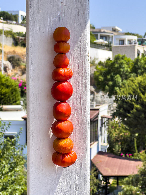 悬挂晾晒番茄