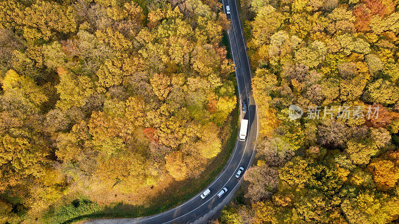 森林旁繁忙的道路