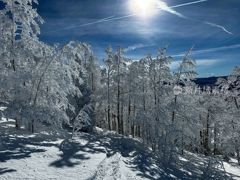 山上的雪