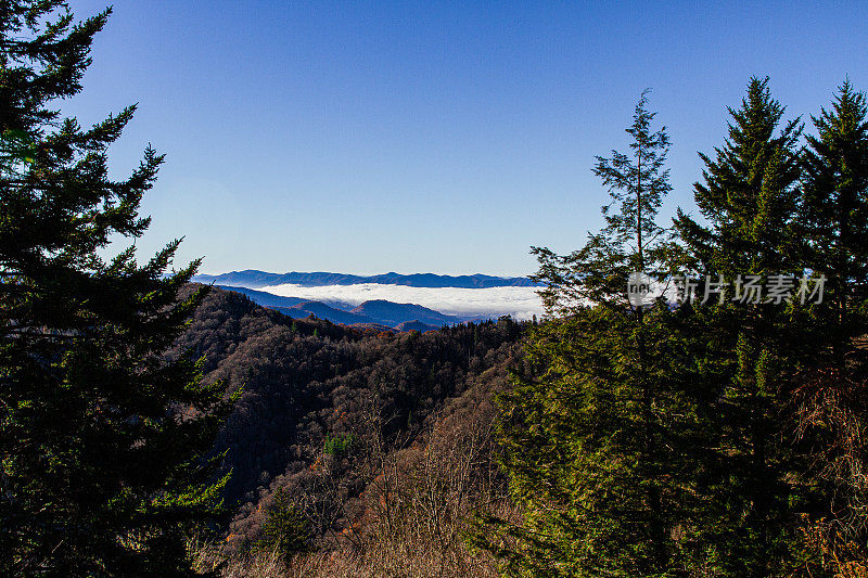 五颜六色的秋天树木和田纳西州的山景在2022年的秋天