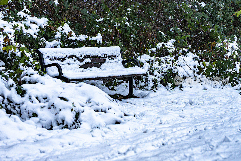 雪地里的公园长椅