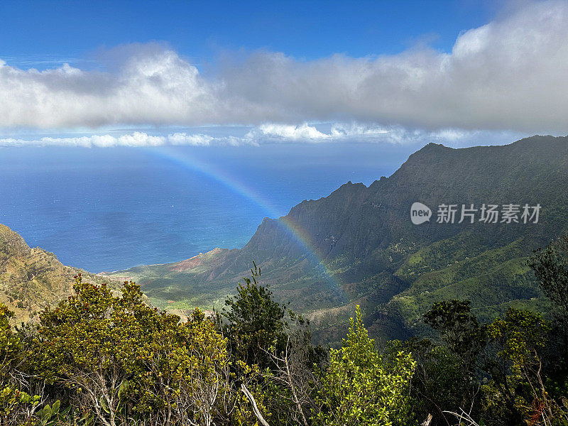 夏威夷考艾岛威美亚峡谷国家公园的卡拉劳瞭望台