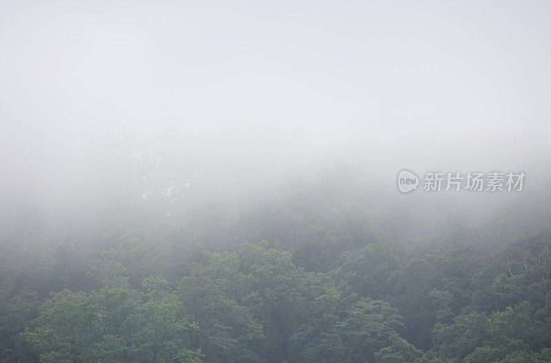 雾笼罩在日本北海道的火山景观上