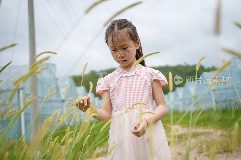 孩子们在除草