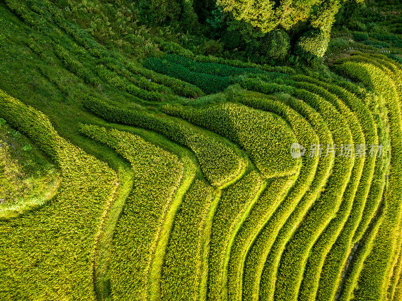 龙胜梯田景观