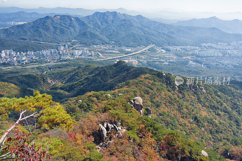 秋山和城市