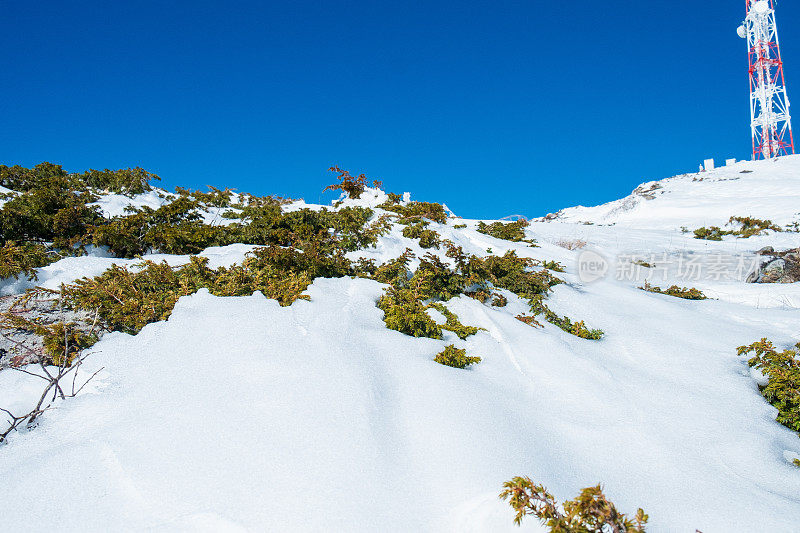 绿色的灌木丛上覆盖着白雪，蓝天下的群山