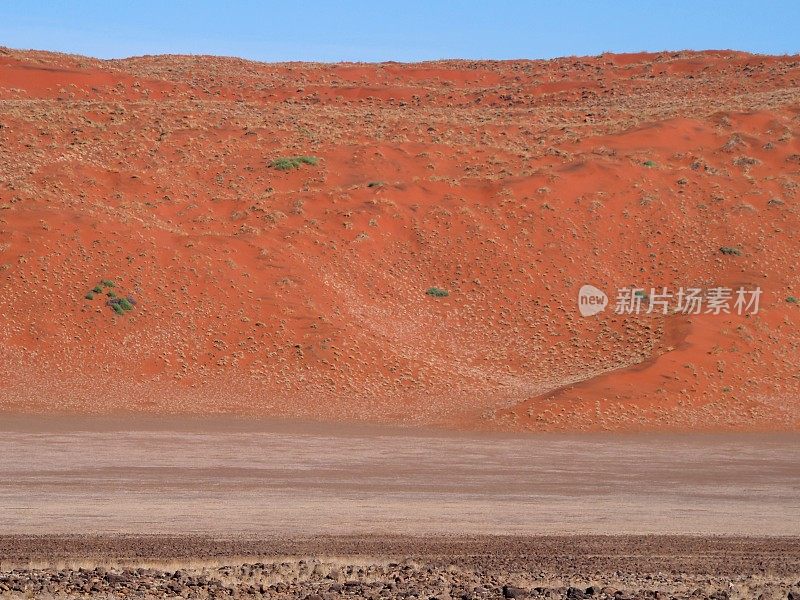 纳米比亚的橙色沙滩