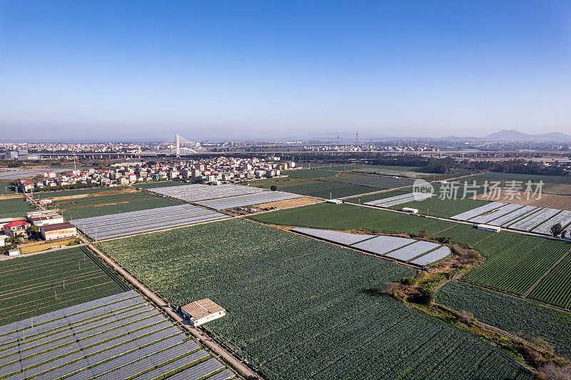 在阳光明媚的日子鸟瞰现代农业用地