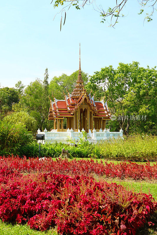 华丽的泰式古风亭子，前景是红叶灌木