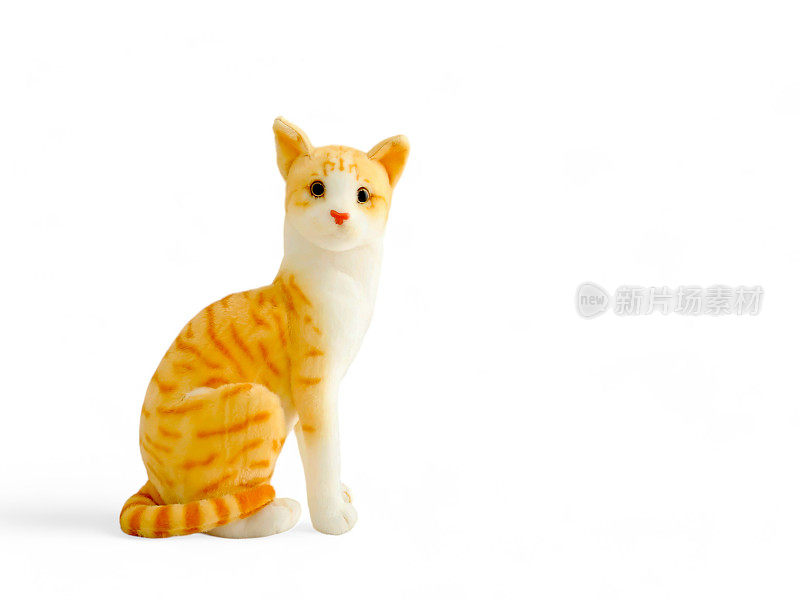 白色背景上的橙色白色猫娃娃