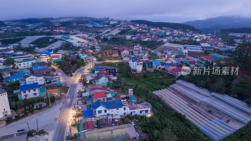 清晨美丽的风景，在大叻市，林东省。风吹茶山上，晨景山坡上茶树下