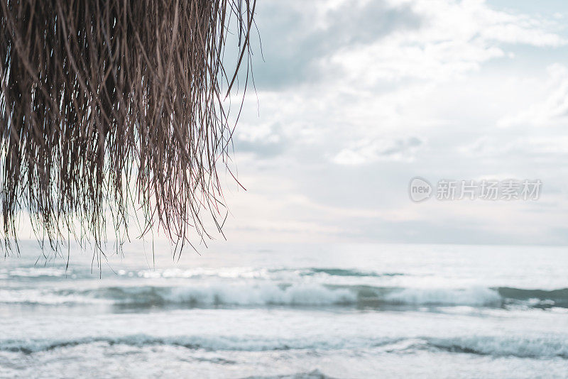 柳条伞叶背后的海景