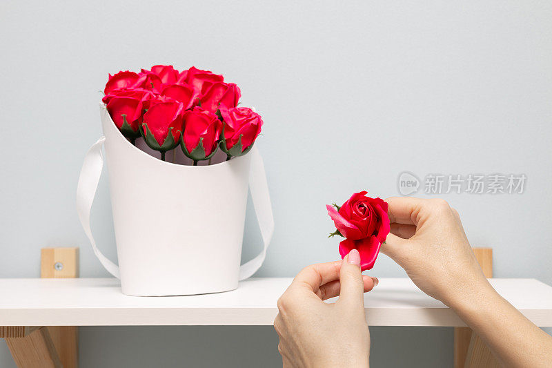 一个女人的手从玫瑰上扯下一片花瓣。