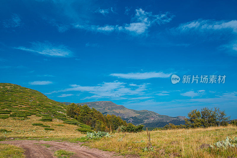 老山或斯塔拉平原，白天的路