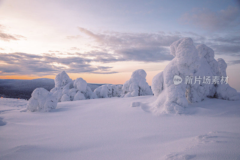 芬兰拉普兰冬日雪地森林的日出景色