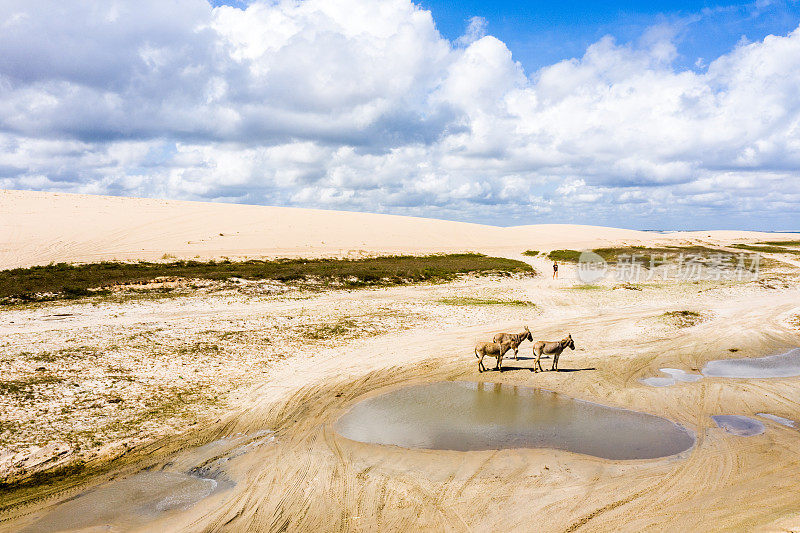 高角度的沙丘在Jericoacoara，塞阿拉，巴西