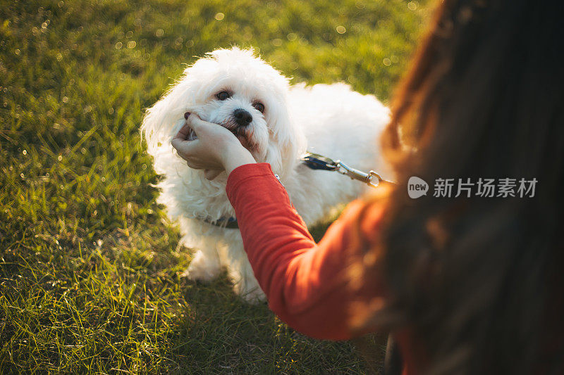 女人与狗