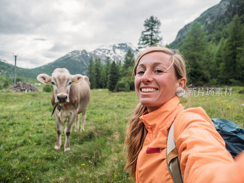 快乐的女人有乐趣与奶牛在草地自拍