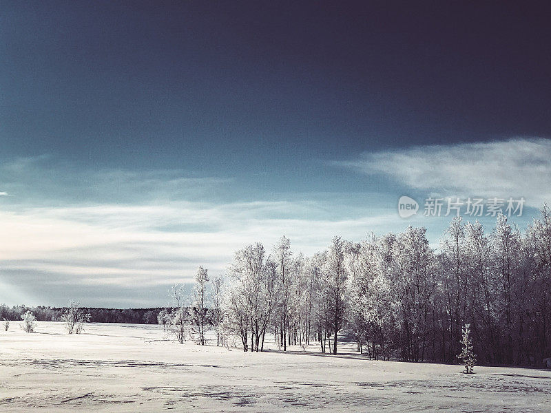 芬兰的冬季景观