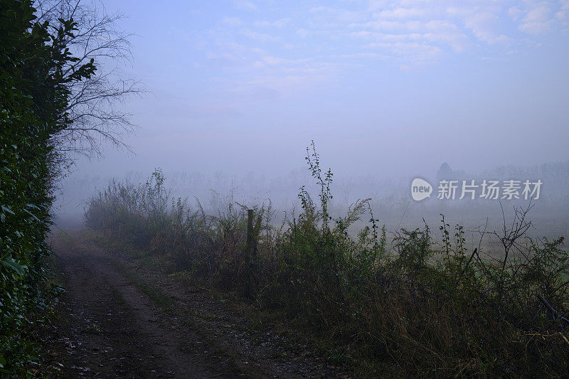 日落时分的乡村小路