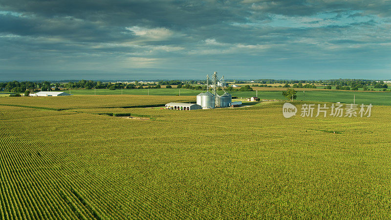 俄亥俄州被玉米包围的农场建筑和粮仓