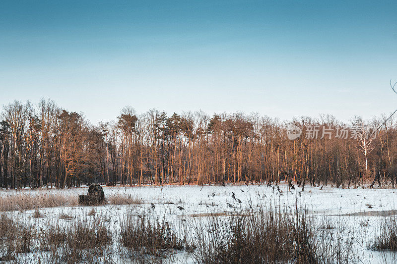 小地堡在冬天的风景在森林的边缘