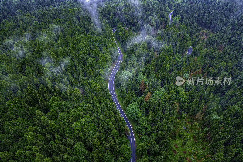 鸟瞰绿色森林中的山路