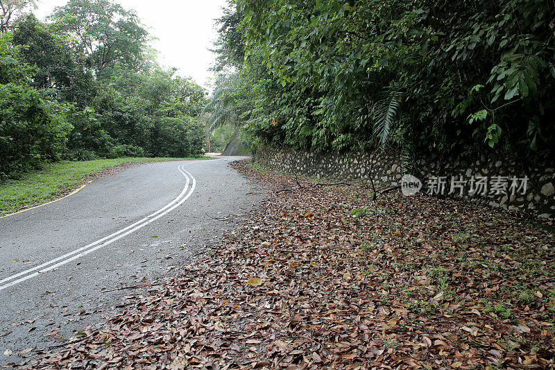 空无一人的道路