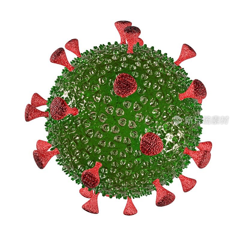 致命的冠状病毒细胞概念设计。3D渲染白色背景。