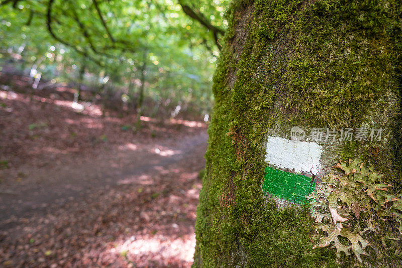 在纳瓦拉比利牛斯山徒步旅行的塞尔瓦・德・伊拉蒂在秋天